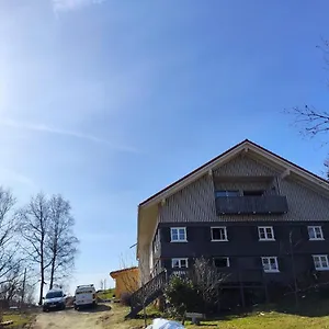 Allgäu Rose Im Og Grunenbach